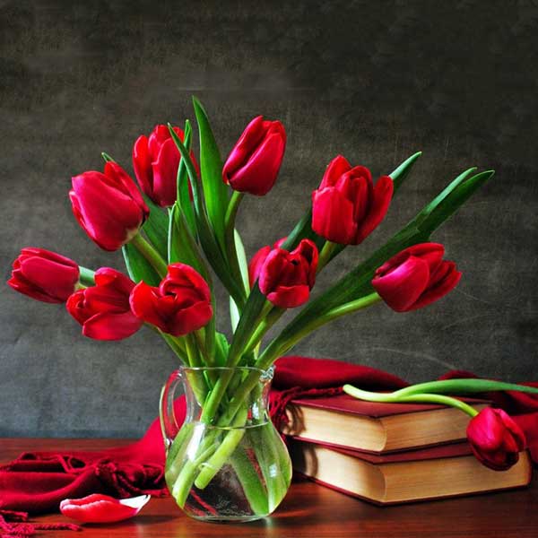 دانلود آهنگ بسیجیا کردن خواهرا و داداشامو دوره اگه ولت کردن نصفه شب 